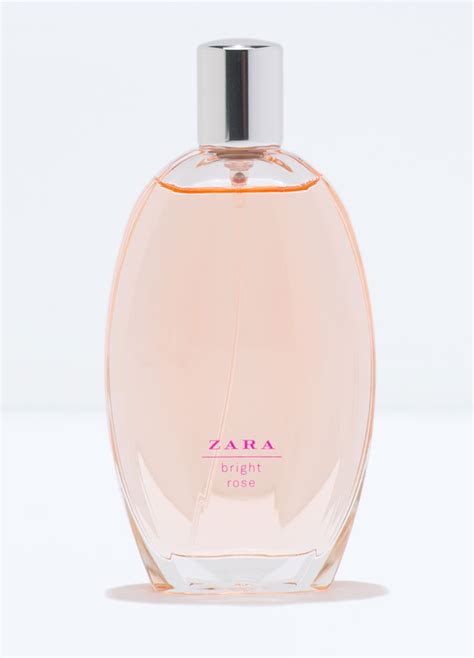 zara.rose|Zara Rose Zara perfume